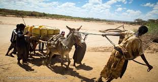 Cost to get a passport for the first time. Donkey Skin Ruling A Massive Blow For Kenya S Smallholder Farmers Devex