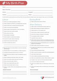 Downloadable Birth Plan Template Free Editable Pin On Business Plan Template For Startups