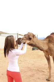 You can get onto a catalog mailing list if you subscribe to a company's mailing program. Camel Safari Las Vegas The Rambling Raccoon