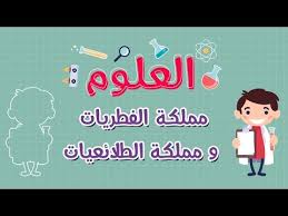 العلوم مملكة الفطريات و مملكة الطلائعيات Youtube