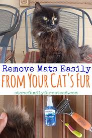 Help My Cat Has Matted Fur How To Help Matted Cat Fur Cat Fur Cat Grooming