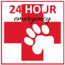 Visit our facebook page to stay informed with the latest safety. Emergency Veterinarian In Marion Call Now 618 529 2236