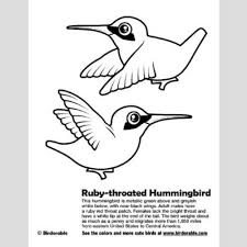 These alphabet coloring sheets will help little ones identify uppercase and lowercase versions of each letter. Ruby Throated Hummingbird Coloring Page Fun Free Downloads Activity Pages Birdorable