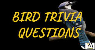 Use it or lose it they say, and that is certainly true when it comes to cognitive ability. Bird Trivia Questions And Answers Birds Quiz Quesmania