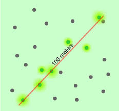 Line Transect Survey Method Download Scientific Diagram