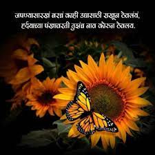 Pin By Popular Marathi Poems On Prem Kavita Sunflower Pictures Love Rose Flower Sunflower Wallpaper