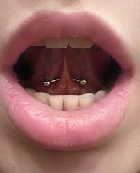 This trend is becoming viral nowadays and a large number of people are trying to pierce their tongues. Oral Piercings What You Should Know Westermeier Martin Dental Care