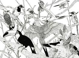 Horses, giraffes & more canvas print. I Ve Been Drawing Birds For 3 Years Here Are The 10 Benefits I Ve Noticed Bored Panda