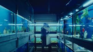 Juju's new band is called candy says: Little Fish Tribeca Review Chad Hartigan S Sci Fi Romance Indiewire