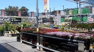 Home depot, 393 s hover rd, longmont, co 80501. Nursery In Home Depot Youtube