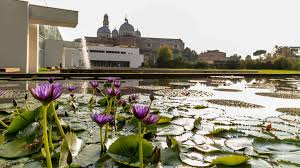 The orto botanico di padova is a botanical garden in padua, italy. Der Botanische Garten Von Padua Italien Blog