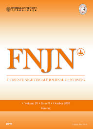 Florence Nightingale Journal Of Nursing