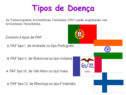 Tratamentos disponíveis para doentes de paramiloidose. Paramiloidose Alexandre Felicio NÂº1 Antonio Carvalho NÂº4 Ppt Carregar