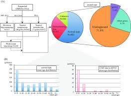 Study Flow Chart Of This And Onset Age Distribution A