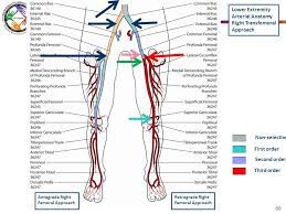 Cpt Coding For Selective Cardiac Catheter Placement Cardiac Catheterization Coding Interventional Radiology