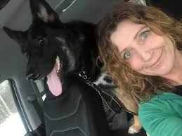 Rescue dog undergoes ankle surgery