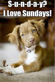 I Love Sundays morning good morning sunday sunday quotes ...