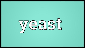 Yeast Meaning Youtube