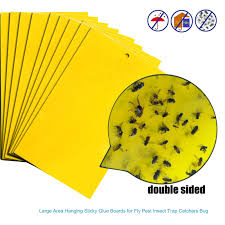 Pic | pest free living, linden, nj. 10pcs Flies Traps Environmental Two Sided Sticky Trap Insects Killer Glue Stickers Board Fruitfly Traps Pest Control Products Traps Aliexpress