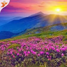 However, the best time to view the captivating beauty of the valley of flowers and it's amazing flora and fauna depends upon how tough you are and how confidently you can carry on the trek. Valley Of Flowers 2020 Best Time To Viisit How To Reach