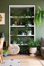 This Gorgeous Plant Filled Australia Home Also Features One Of The Most Unique Wfh Setups We Ve Ever Seen In 2021 Indoor Plants Diy Indoor Plants Easy Apartment Plants