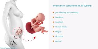 Pin On Baby Development Week By Week