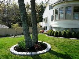 Create Tree Borders In The Yard Backyard Landscaping Landscaping Around Trees Landscape Trees