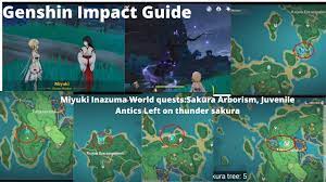 Genshin Impact Miyuki Inazuma World Quests Sakura Arborism Juvenile Antics Left On Thunder Sakura Youtube