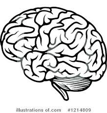Brain Coloring Page Sheet Ask A Biologist Human Ideas Pages Book B Brain Illustration Brain Art Drawing Brain Images