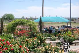 Free uk delivery on eligible orders! City Of El Paso On Twitter The El Paso Rose Garden On 1702 N Copia St Will Be Open On Easter Weekend The Elpasoparks Opens It Daily From 8 A M To 6