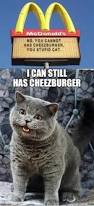 Image result for i can has cheezburger