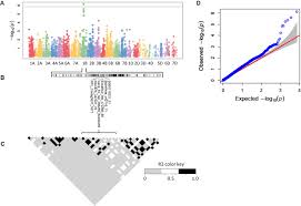 Frontiers Gwas Assisted Genomic Prediction To Predict
