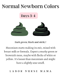 Image result for dark black stool human poop