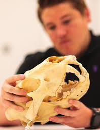 UNIVERSITY OF WASHINGTON COLLEGE OF ENGINEERING NEWSLETTER