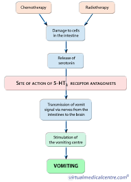 5 Ht3 Receptor Antagonists Serotonin Blockers Healthengine Blog