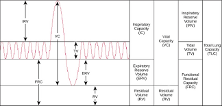 54 Prototypic Airlife Breathing Chart