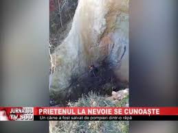 Laminiaduo7 și 411 alți utilizatori consideră că acest răspuns este de ajutor. Prietenul La Nevoie Se Cunoaste Youtube