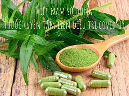 It was first identified in december 2019 in wuhan,. Bá»™ Y Táº¿ Sáº½ Cáº¥p 1 Triá»‡u Vien Xuyen Tam Lien Ä'iá»u Trá»‹ Covid 19 Cho Tp Hcm Tin Tá»©c Má»›i Nháº¥t 24h Ä'á»c Bao Lao Ä'á»™ng Online Laodong Vn