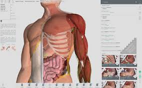 The complete anatomy app is one of the best anatomy software solutions you can download for windows computers. V4 0 1 Complete Anatomy World S Best Selling And Most Complete 3d Anatomy Platform Appnee Freeware Group