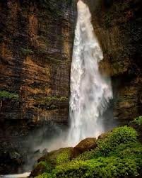 Di dalam air ini juga banyak ditemukan beberapa ikan yang memiliki daging enak dan memiliki harga mahal. Wisatawan Petualang Coba Uji Nyali Ke Air Terjun Tangga Seribu Travel Tempo Co