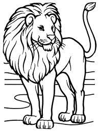 Male African Lion Coloring Page Free Printable Coloring Pages Lion Coloring Pages Animal Coloring Pages Lion Pictures