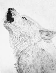 How to draw a wolf. White Wolf In Pencil Patsy S Creative Corner