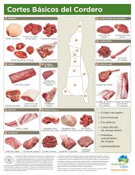 lamb cut chart spanish en