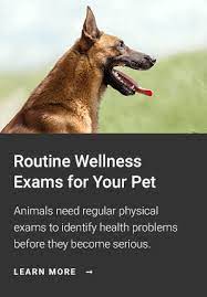 Our walk in wellness clinic is open two days a week: Shop For Pet Pharmacy Products East Bay Veterinary Clinic