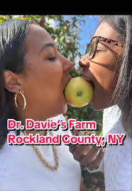 Dr Davies Farm New York Pumpkin