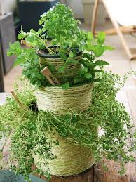 Epingle Sur Recettes De Cuisine Facile Et Rapide