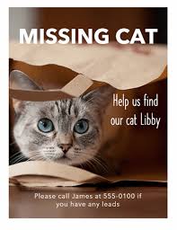 Download for free or buy for as low as $2.99. Missing Cat Flyer