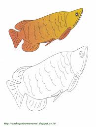 Gambar diatas adalah gambar kucing, sapi, burung, ikan hiu megalodon, dan kelinci. Gambar Mewarnai Ikan Arwarna Untuk Anak Paud Dan Tk