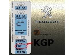 Image result for Persamos 2007 Peugeot