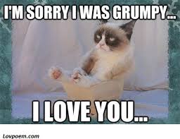 70 Memes About Being Sorry For Him Or Her Sweet Memes Sweet Memes Grumpy Cat Meme Memes